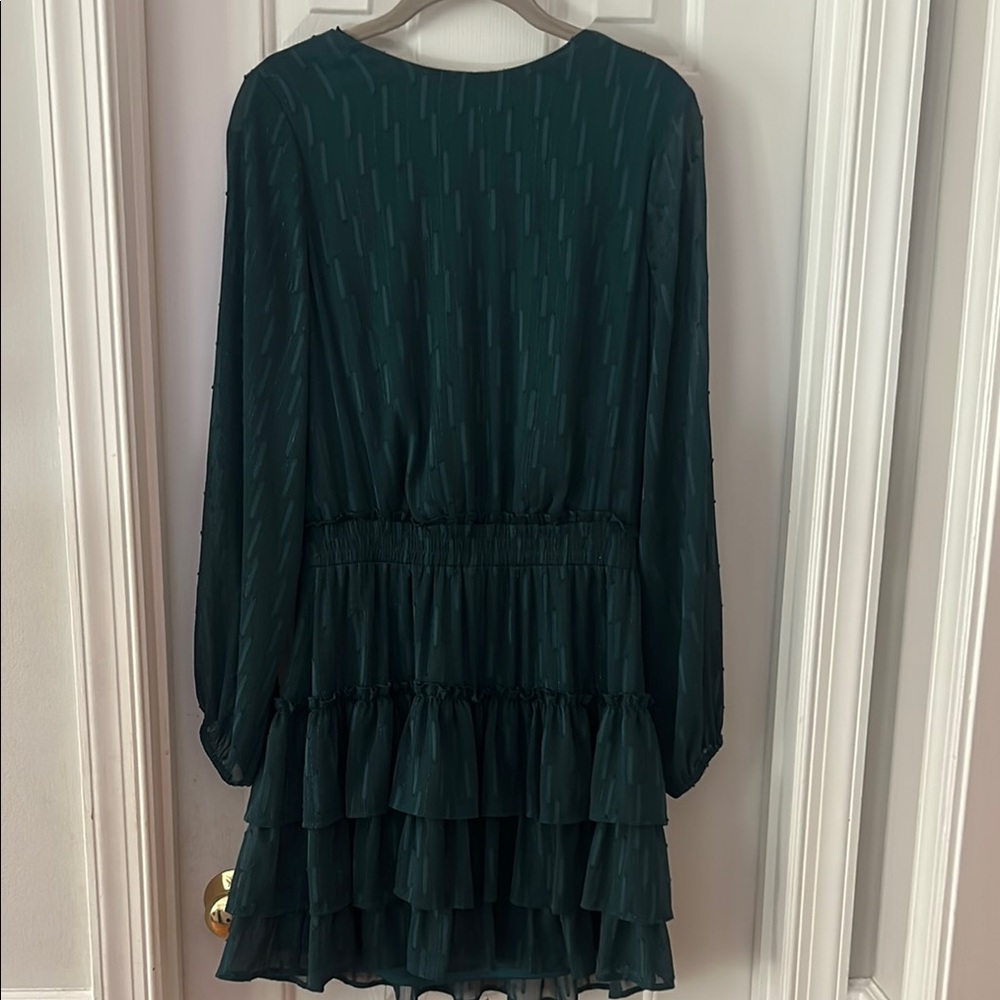 Express Black A-line Bishop Sleeve Dress